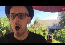 Christophe – L’Alchimie vs Fernand Nathan