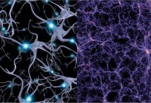 L’Univers holographique, le monde est un hologramme. Tout y est relié