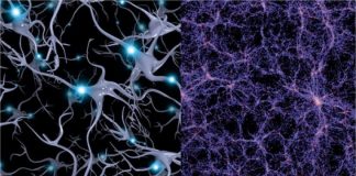 L’Univers holographique, le monde est un hologramme. Tout y est relié