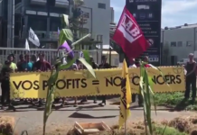 Des écologistes dénoncent un G7 «illégitime», bloquant une usine de Bayer-Monsanto – vidéos