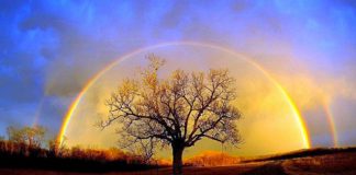 Ancrer la lumière dans un monde d’ombres