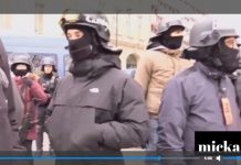 Armes utilisées contre les Gilets Jaunes: Les réactions des forces de l’ordre sont affligeantes