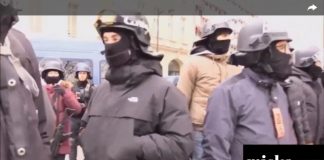 Armes utilisées contre les Gilets Jaunes: Les réactions des forces de l’ordre sont affligeantes