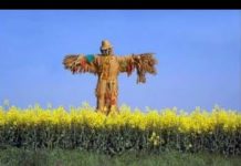 L’histoire de la mise en esclavage de l’Être Humain par l’ACTE DE NAISSANCE