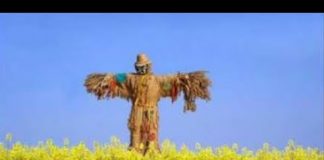 L’histoire de la mise en esclavage de l’Être Humain par l’ACTE DE NAISSANCE