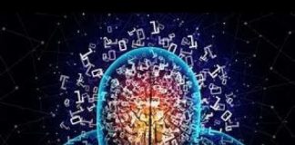 Y’a rien dehors tout est dedans