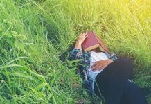 “La paresse est une valeur humaine qui est en train de disparaître”