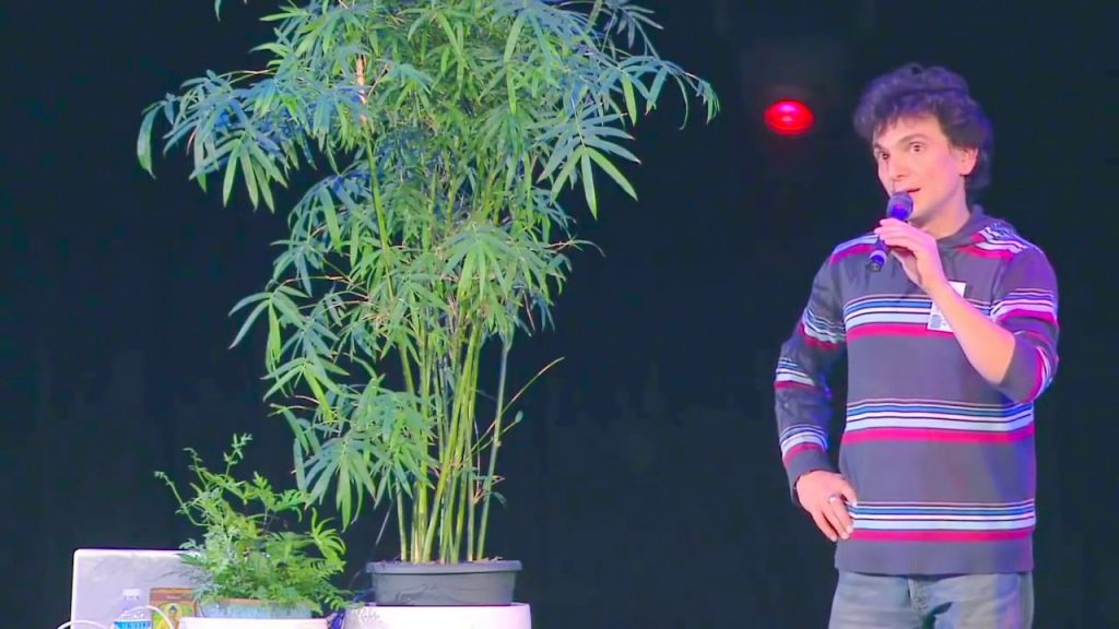 Les plantes musiciennes grâce a un petit appareil qui permet aux humains de les entendre 5 maxresdefault 22