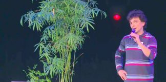 Les plantes musiciennes grâce a un petit appareil qui permet aux humains de les entendre