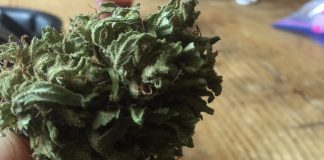 Retour sur la semaine en questions