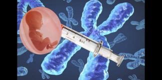 Les médecins Italiens dénoncent le fœtus humain dans les vaccins et bien d’autres produits nocifs