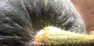 Le bon biais des bons biaiseurs