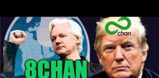 Assange, la fusillade et guerre informationnelle