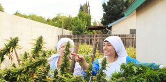 Les “narcotrafiquantes” de Dieu : Ces sœurs font de l’huile et du savon à partir du cannabis, croyant que c’est un “cadeau de Dieu”