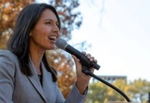 “Menace à la liberté d’expression” : Tulsi Gabbard poursuit Google pour censure