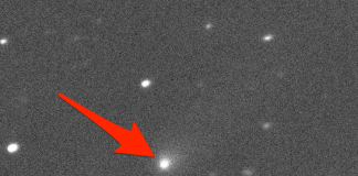 Un deuxième “objet interstellaire” a presque certainement été trouvé dans notre système solaire