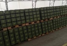 L’Otan (ou Gladio) approvisionne en armes Daesh au Yémen