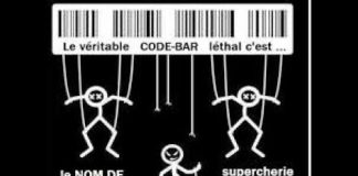 La fraude du NOM légal : 6 mois de recherches et 1er bilan