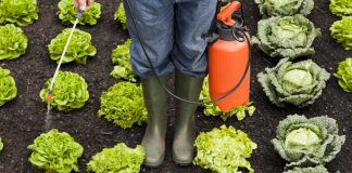 Heureux ceux qui ont un jardin !