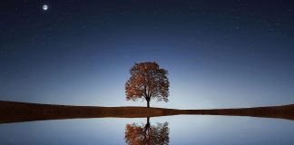 L’Éveil (au Cœur de la Présence) ❤ – avec Pierre Leré Guillemet