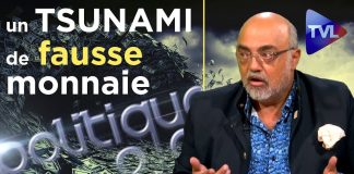 Pierre Jovanovic : Un TSUNAMI de fausse monnaie ! – Politique et Éco n°229