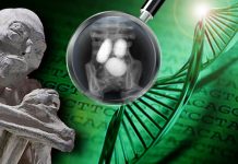 Les momies de Nazca, l’A.D.N a parlé