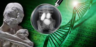 Les momies de Nazca, l’A.D.N a parlé