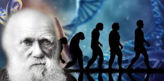 Un éminent professeur de Yale explique comment la théorie de l’évolution de Darwin ne correspond pas à la science
