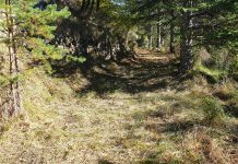 Des nouvelles de la Vallée des Merveilles