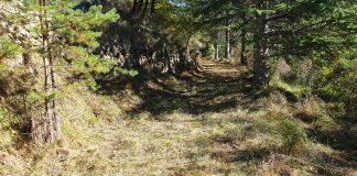 Des nouvelles de la Vallée des Merveilles