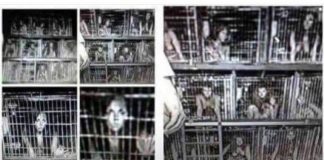 2100 enfants en cage libérés et sauvés par les Marines et les Navy Seals des bases souterraines appartenant à DeepState en Californie !