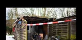 Fsociety LIVE – Dimmick, réseau pédo Allemand, Carlyle Group, Lou Gerstner, Annie Maxwell