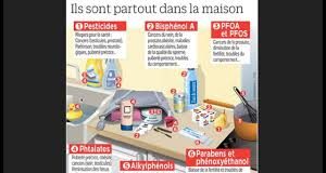 Le Plan de ceux qui se prennent pour l’Elite de réduction de la Fertilité