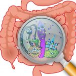 microbiote flore intestinale