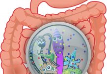 Comment guérir facilement 90 % des maladies avec les probiotiques et prébiotiques : Partie 1