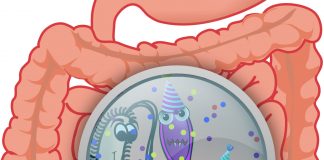 Comment guérir facilement 90 % des maladies avec les probiotiques et prébiotiques : Partie 1