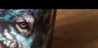 Ou sont les éteindeurs ?