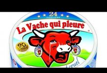 Ondes EM: si les vaches meurent, on mourra aussi !… d’AVC
