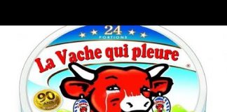 Ondes EM: si les vaches meurent, on mourra aussi !… d’AVC