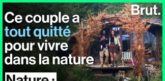 La désobéissance fertile pour préserver le vivant