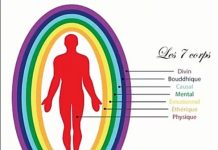 Les Corps subtils, c’est quoi ?