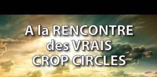 A la RENCONTRE des VRAIS CROP CIRCLES – Philippe Mariaud