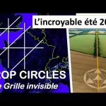 crop circles 2019 umberto molinaro la grille cristalline mise en lumiere par les crop circles