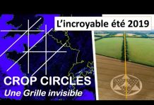 Umberto Molinaro : La Grille cristalline mise en lumière par les crop circles de 2019