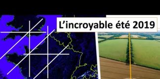 Umberto Molinaro : La Grille cristalline mise en lumière par les crop circles de 2019