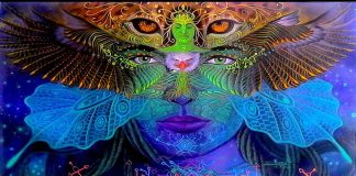 DMT La molécule de l’Esprit : la vérité cachée