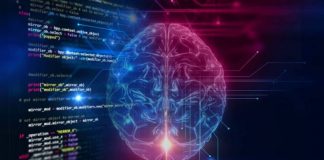 Une IA capable de “voir” ce qu’une personne voit en lisant dans le cerveau