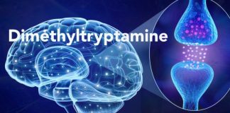 La molécule de l’Esprit (se connecter à la Source)