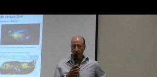 Le champ akashique et la Conscience vus par Philippe Guillemant