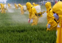 France : l’Agence sanitaire annonce le retrait de 36 produits à base de glyphosate